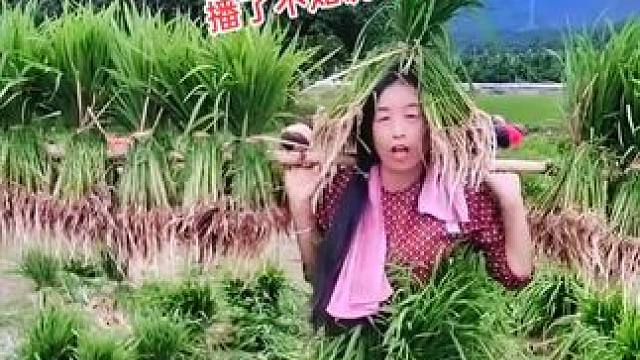 山卡卡里的农村大姐学费了开直播每天收获满满您还在恐播怕播不敢开播开播了不知说什么吗#记录真实生活 #