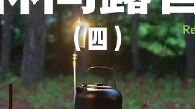 林间露营（四）带着狗子去露营~#露营 #助眠 #解压 #萌宠 #户外露营