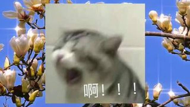 #名捕夫人 #御赐小仵作 #广播剧 谷江山你在叫什么(●.●)❓（bushi）哈哈哈