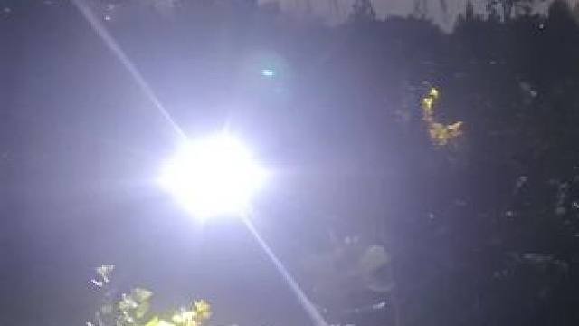 全员出动 #夏至不眠夜 #难得一见 #知了猴来了