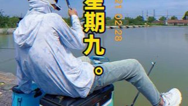 #玩转黑坑 #dou是钓鱼人