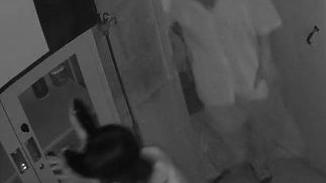 我深刻怀疑 小兔子你在钓鱼执法#密室逃脱 #NPC #姿态老鼠