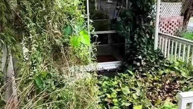 我发布了一个新视频，快来围观吧！