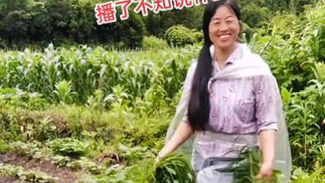 山卡卡里的农村大姐学费了开直播每天收获满满您还在恐播怕播不敢开播开播了不知说什么吗#记录真实生活 #