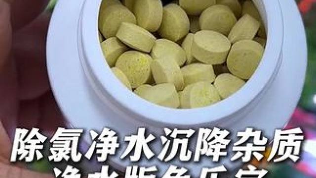 净水版鱼乐宝，能除氯能净水能沉降杂质，自来水养鱼常备！ #鱼乐宝 #鱼缸净水 #除氯 #自来水养鱼 