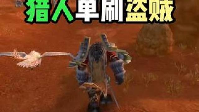 猎人单刷盗贼 #魔兽世界怀旧服 20周年服 PVP解说 猎人PVP攻略