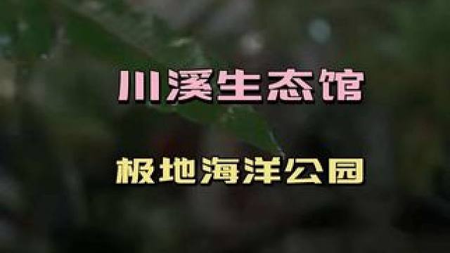 亲子游玩好去处~