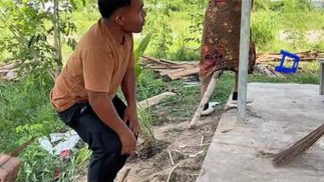 东南亚矮子 #乡村守护人