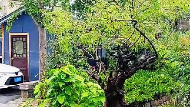 #农村生活 #山村行 #山里梦里我的家石匣村（702）雨中的石匣村。