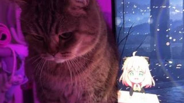 猫猫陪我打游戏