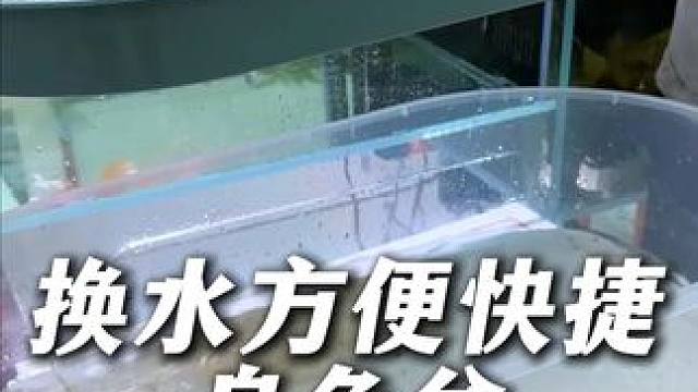 这个乌龟盆方便换水，简单实用，一定要把大中小号都囤上！ #乌龟盆 #养龟 #龟宠 #乌龟 #养龟人