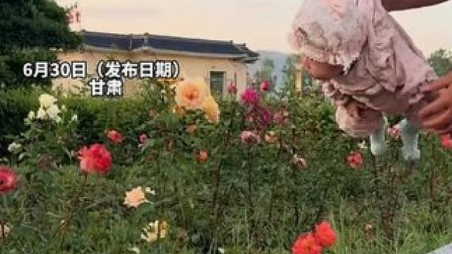 小宝宝也能这样玩，爸爸把小宝宝玩成“小蜜蜂”，网友：宝宝还挺配合