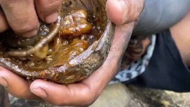 哈哈嘟嘟来了 #我的乡村生活 #原创视频 #脑洞大开 #外国人真会玩 #日常生活