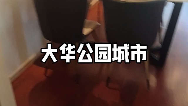 大华公园城市