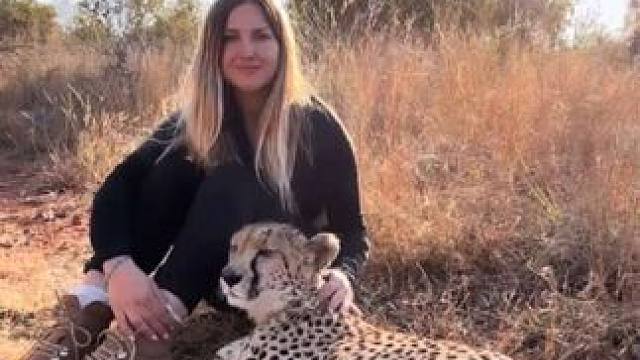 美女的宠物猎豹 #国外视频分享 #奇妙的动物 #宠物