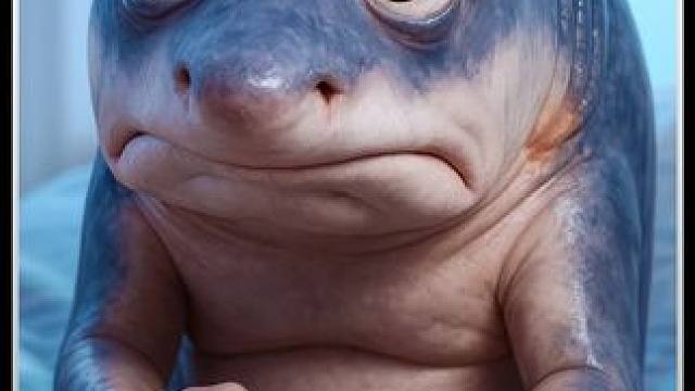 他把鲨鱼当宠物，最后却亲口吃掉了它！扎心短片（纯属虚构） #海洋环保 #海洋保护 #环保 #扎心 #