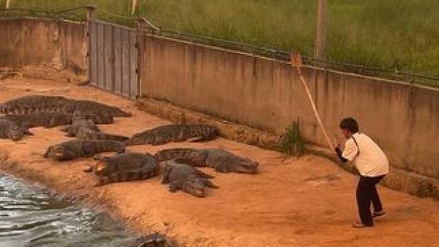 看这小子鬼鬼祟祟的，一看就像坏人  #危险行为请勿模仿