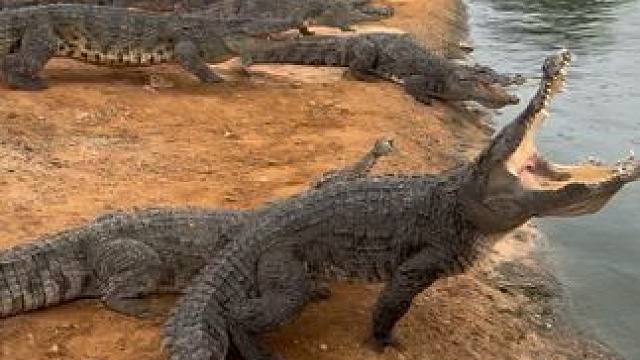 看来都知道在这里我说了算#非专业人士请勿模仿