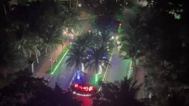 Cici‘s 音乐时间