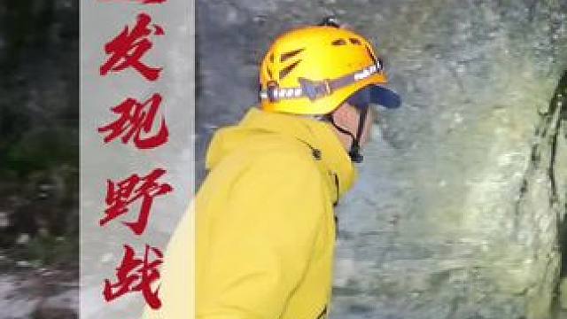 路边小洞里面发现惊人一幕，只能说你们真会玩#户外 #万万没想到 #不可思议