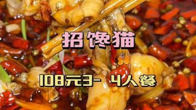 #招馋猫#本地流量#热门
