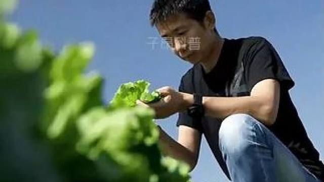 靠卖生菜，从白手起家做到年入10亿！ 