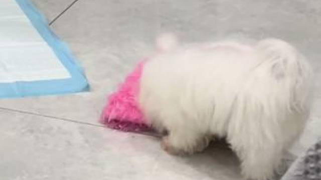 肉眼可见的变胖了 #宝妈记录生活日常