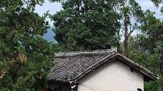 我发布了一个新视频，快来围观吧！