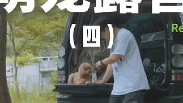 萌宠露营（四）#露营 #助眠 #解压 #萌宠 #户外露营