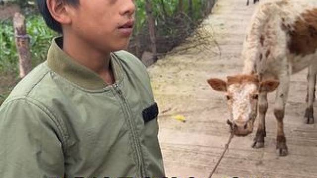 小小身躯承担起生活的千钧重担，一个小小的篮球竟成为了奢望 #山里的孩子 #爱心传递 #日行一善积善成