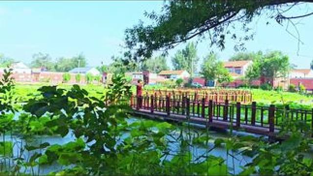 #荷塘月色湿地公园 ！