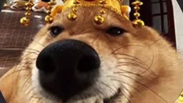 今天你go了吗？#球球大作战君山#球球大作战 #球球霸屏挑战#球球大作战闪击战 #barbarbar