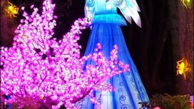 7.3开园 | 奔赴芬妮&特恩森林农场，邂逅一场梦幻昆虫奇旅！步入昆虫秘境，这里是一个充满神秘与惊喜