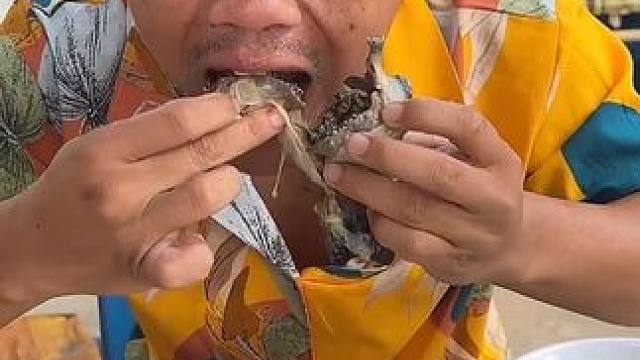 咖喱炖蛋蛋蛙 #美食 #户外美食 #泰国美食 #内容启发搜索