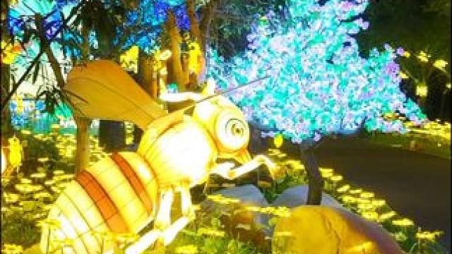 当夜幕降临，芬妮&特恩森林农场将摇身一变，成为一个充满梦幻色彩的童话世界。光影灯饰沿着森林小径一路延