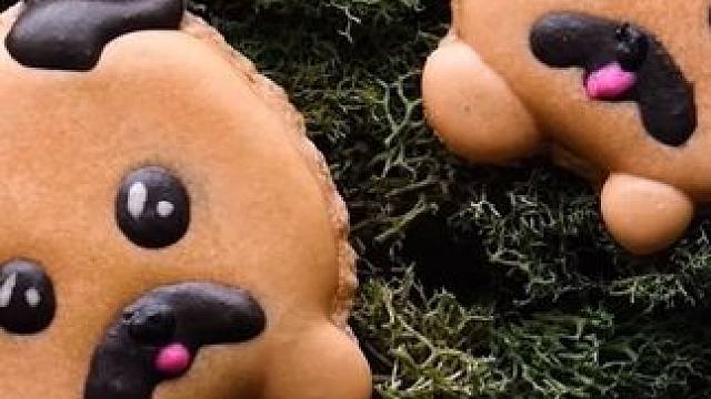 甜品的创意制作不同装饰搭配 #治愈美食 #甜品治愈一切 #烘焙教程#甜品烘焙 #手作diy