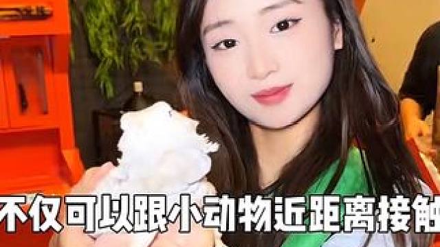 秦岭野生动物园坐不住了！赶紧囤！#遛娃好去处 #发现宝藏小城 #湘菜拌饭有多好吃 #老友惠生活 #周