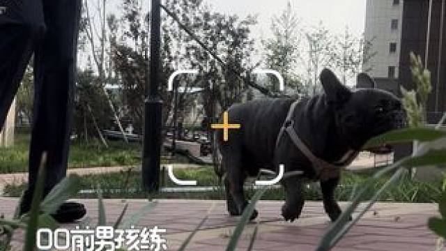 这么丑的拉花当然给小助理喝了 #黑袜正装 #男生穿搭 #vlog十亿流量扶持计划 #咖啡拉花