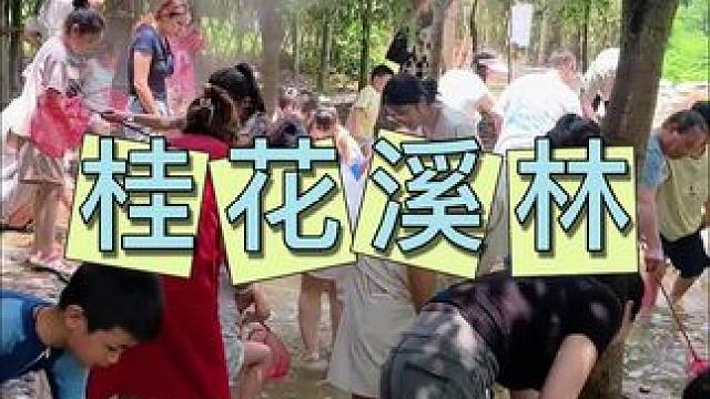 桂花溪林 假期吃喝玩乐一站式遛娃宝藏地#桂花溪林 #亲子游玩好去处 #遛娃好去处 #遛娃宝藏地 #假