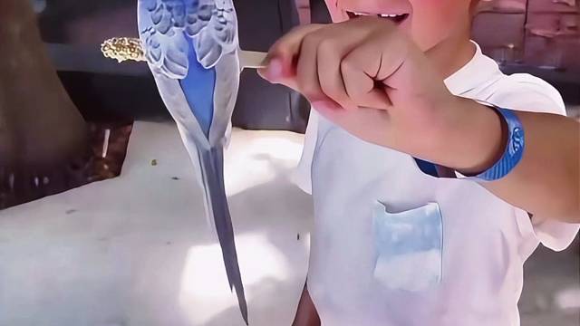 从小就享受生活！福登的儿子打小就得养鸟玩