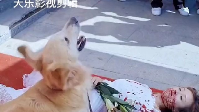 你陪我一时，我护你一世