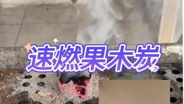 这个速燃果木炭真的好用吗？ #测评 #打假 #炭火烤肉 #果木炭烤