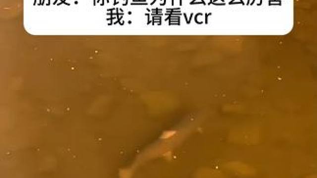 朋友：墨镜哪里买的，我现在强到可怕~ #玩个很新的东西