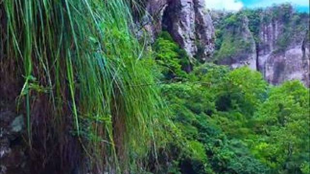 旅行是一场心灵的洗礼，让风景在眼中，感悟在心中。雁荡山灵岩景区。