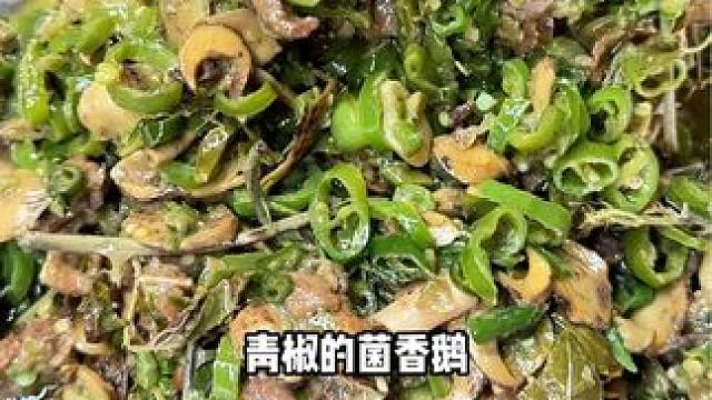 大鹅炒菌子，真的好吃了耐不住啊！#炒菌子 #云南菌子 #鹅 #好好吃饭大赛