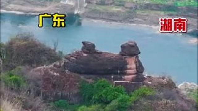其貌似雄鸡，昂首北望引颈欲啼而得名金鸡岭，被誉为广东的“风水鸡”，你觉得像吗？#旅行推荐官 #大自然