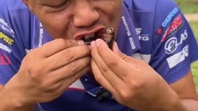 香米饭碳烤风干蛙 #美食 #户外美食 #泰国美食 #内容启发搜索