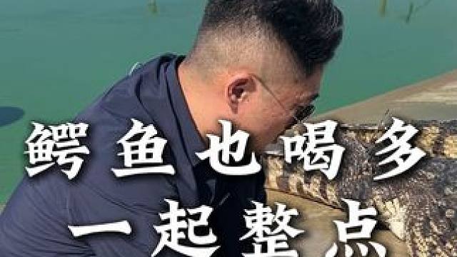叫你少喝点吧，鳄鱼都喝多了#鳄鱼