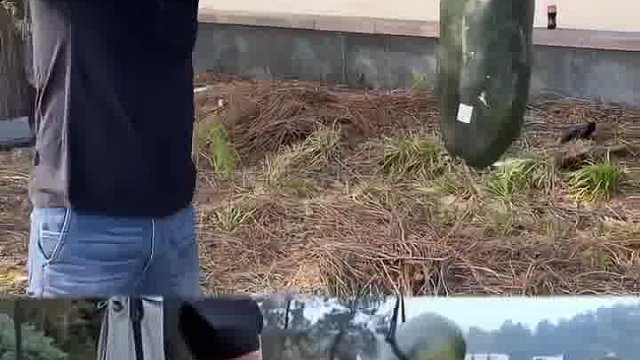 挑战一拳打冬瓜