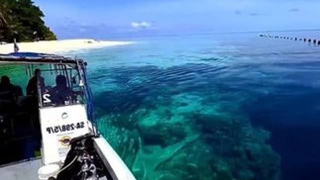 抚仙湖风景很美，但是去玩一定要小心潜在的危险#抚仙湖  #万万没想到